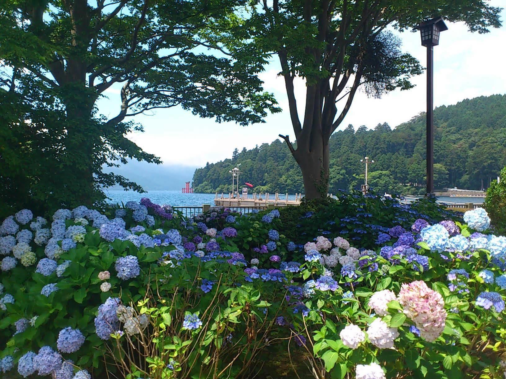 Hotel Musashiya Hakone Exterior photo